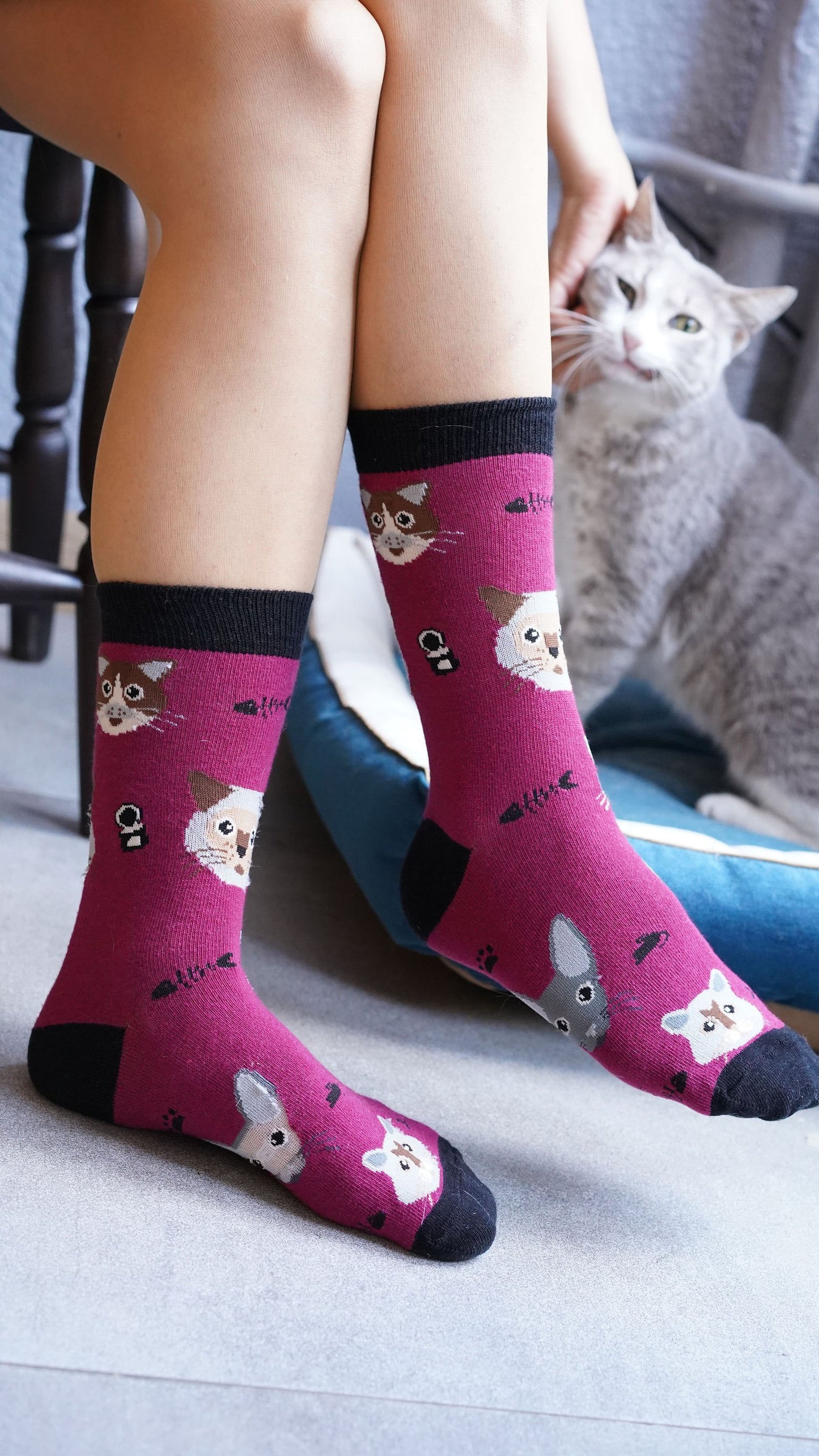 Women's Cute Cats Socks Set