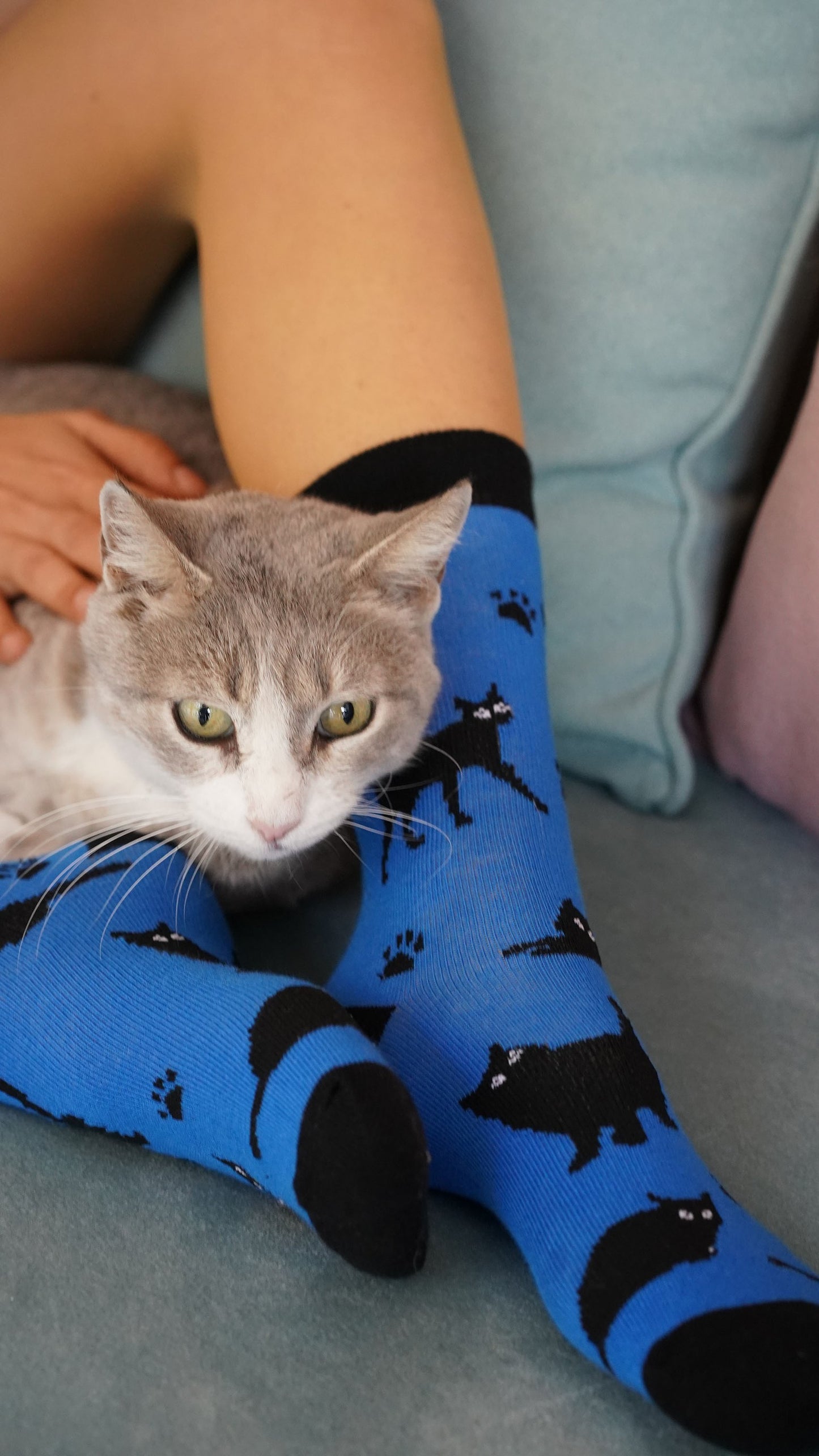 Women's Cute Cats Socks Set