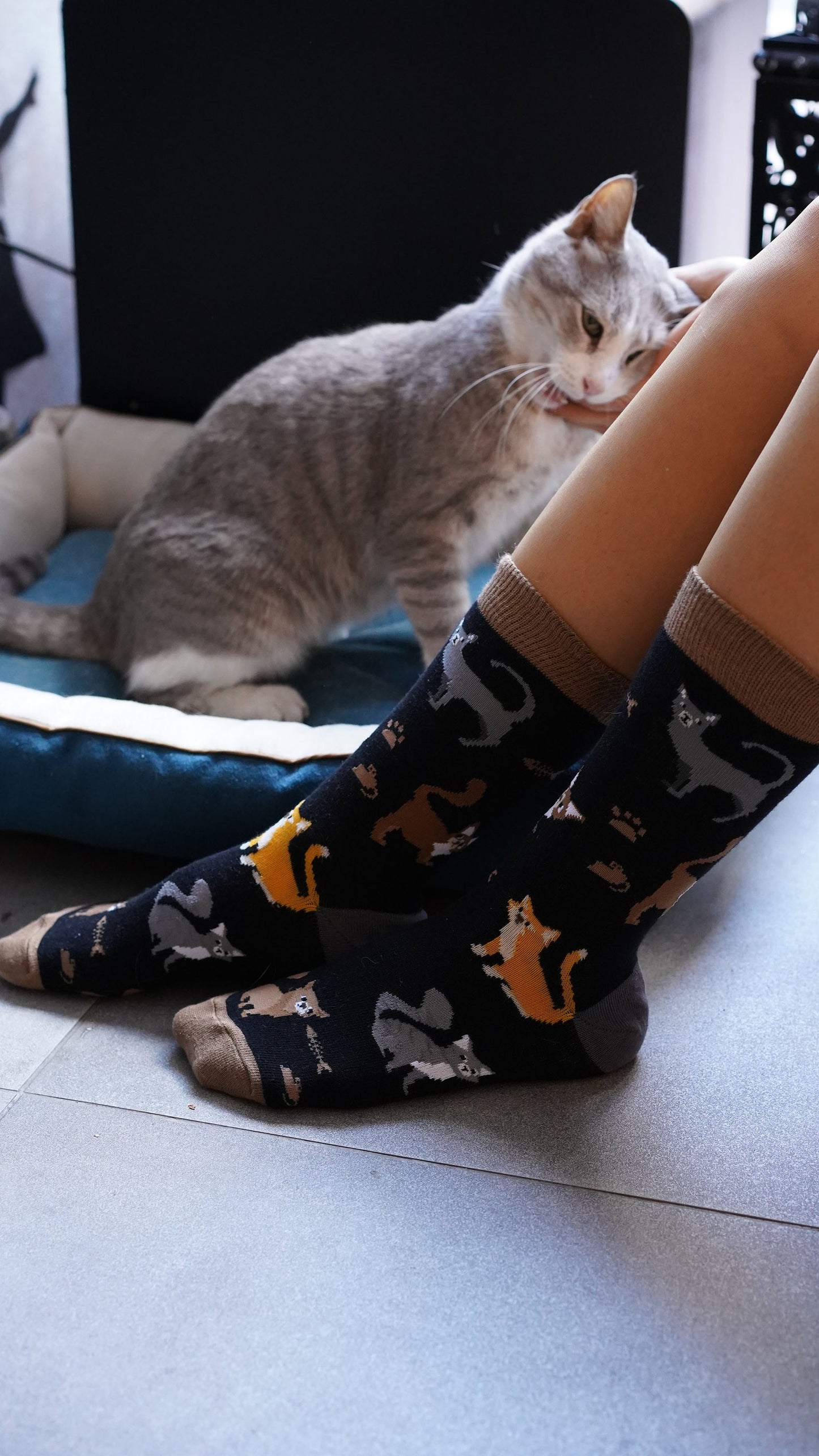 Women's Cute Cats Socks Set