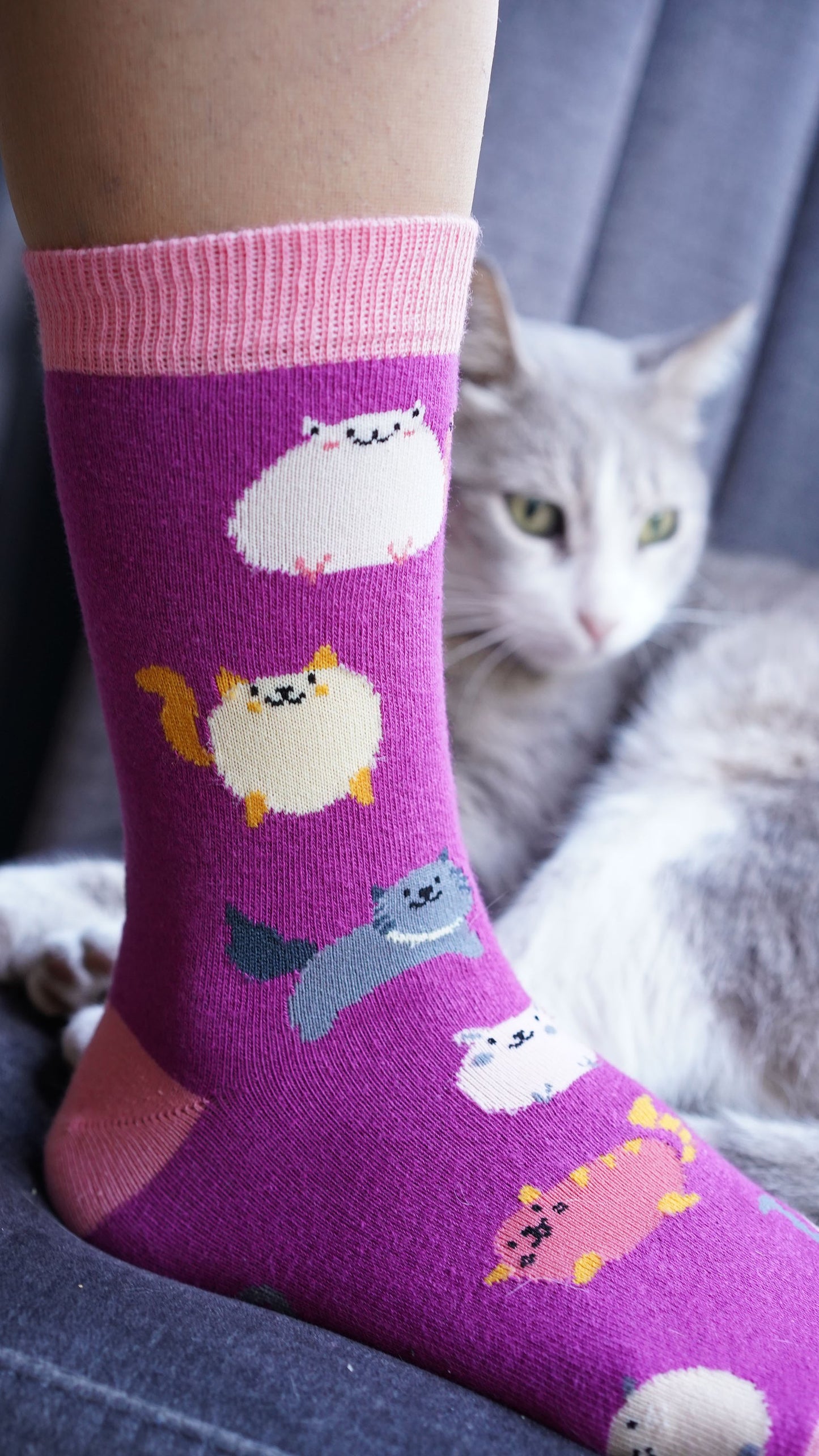 Women's Cute Cats Socks Set