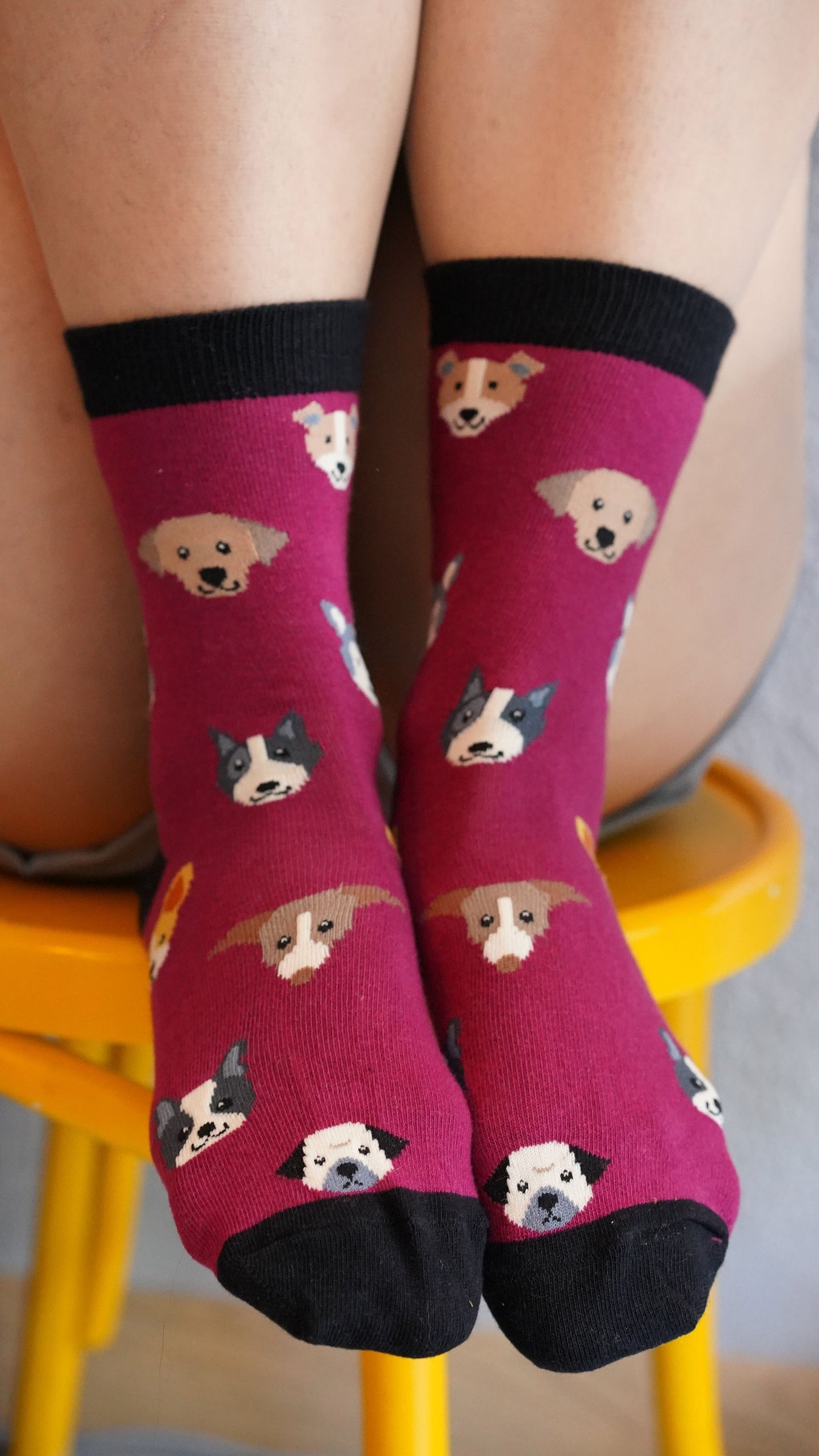Premium Cotton Dog-Themed Socks