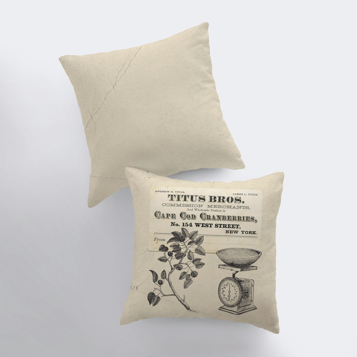 Cape Cod Cranberries Throw Pillow Cover β Vintage Farmhouse Accent