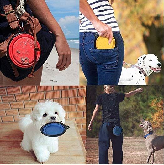 Collapsible Dog Bowls β Travel-Friendly & Durable