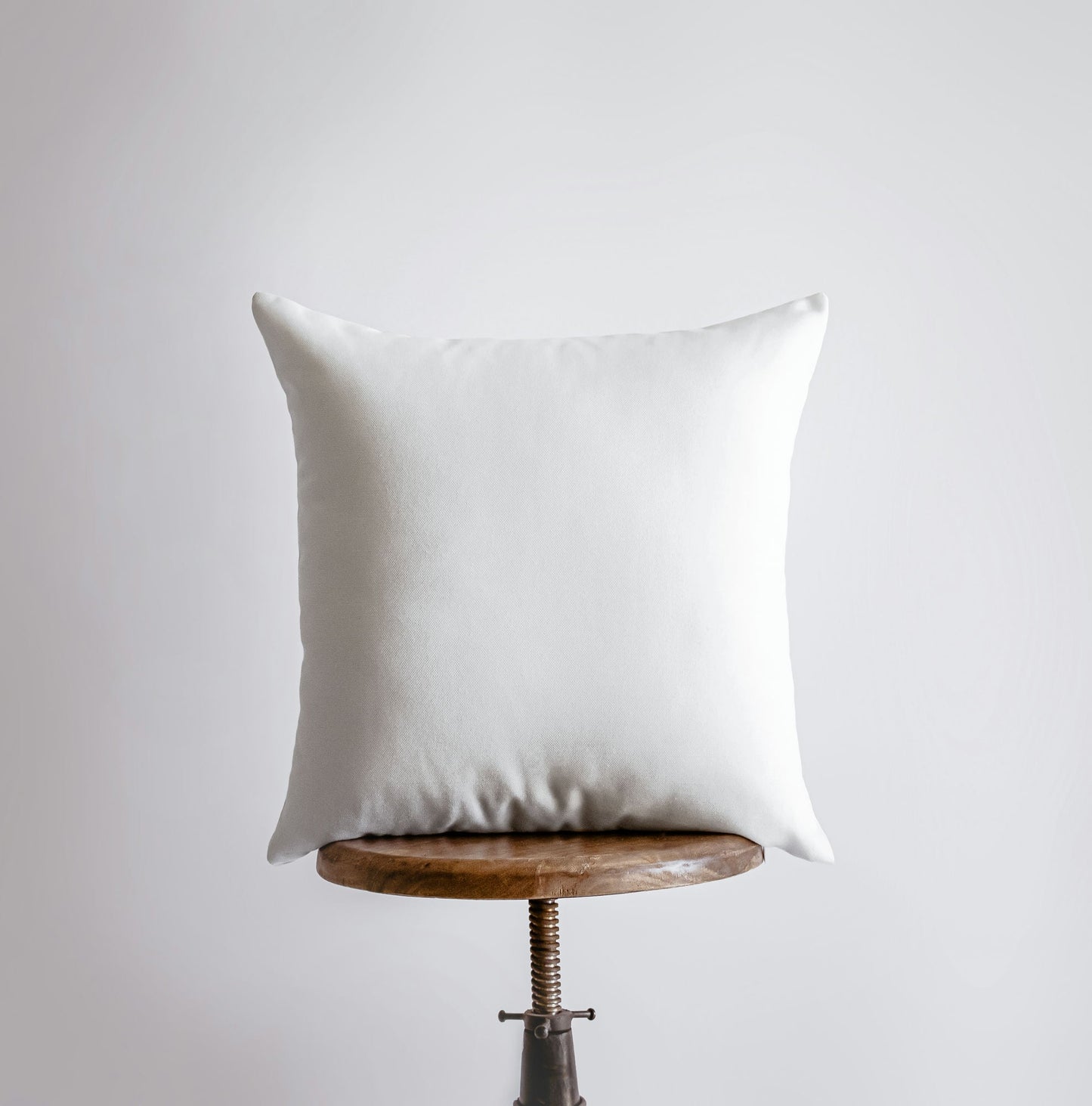 Give Me a Hug โ Hedgehog Throw Pillow Cover