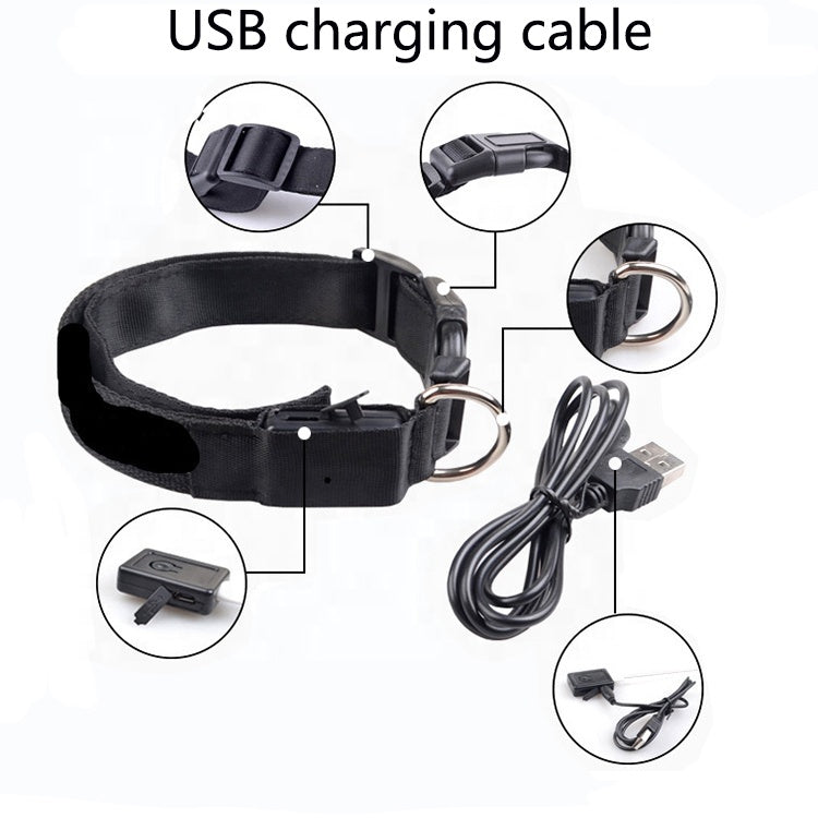 USB Rechargeable LED Pet Dog Collar