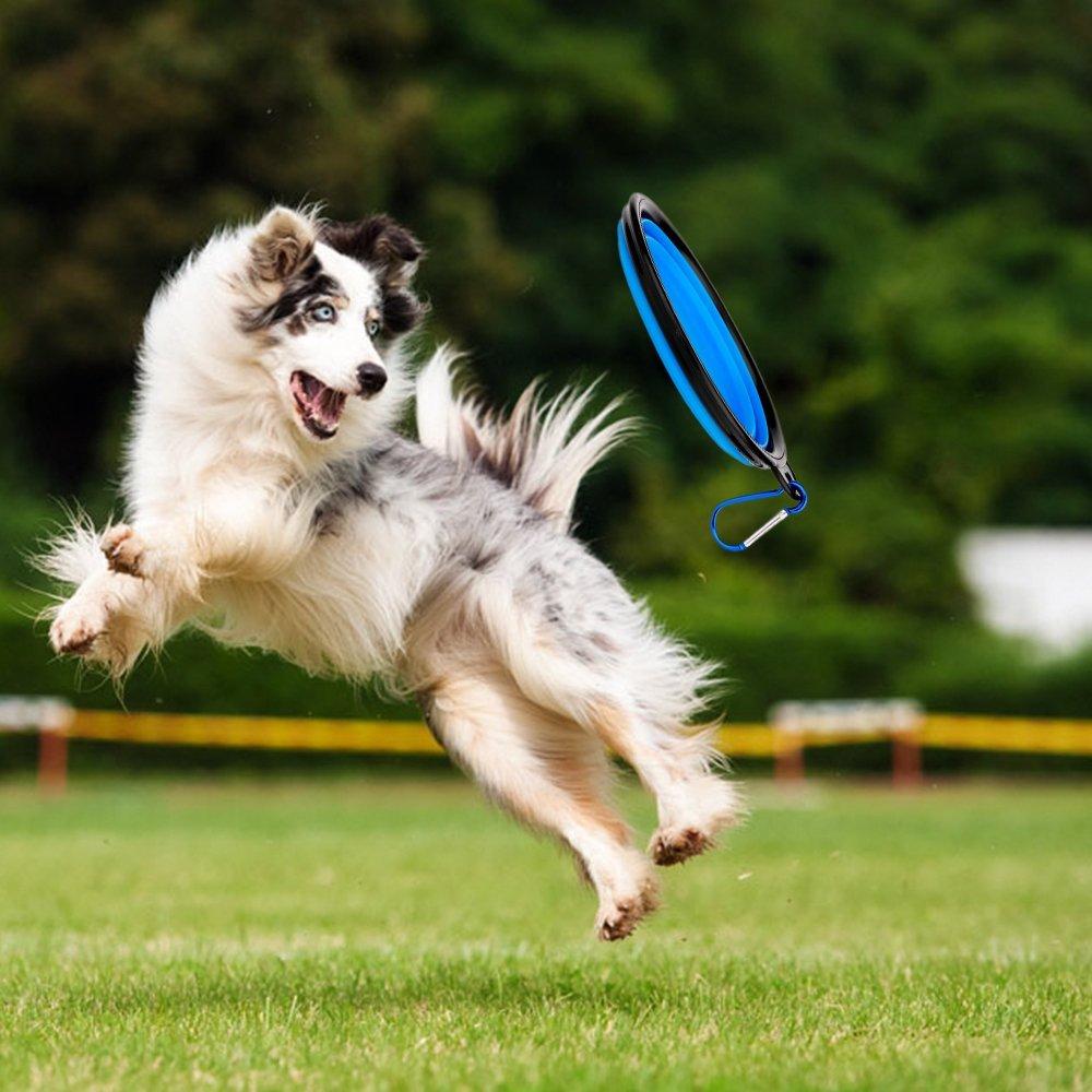2-in-1 Dog Drinking Water Bottle with Collapsible Bowl