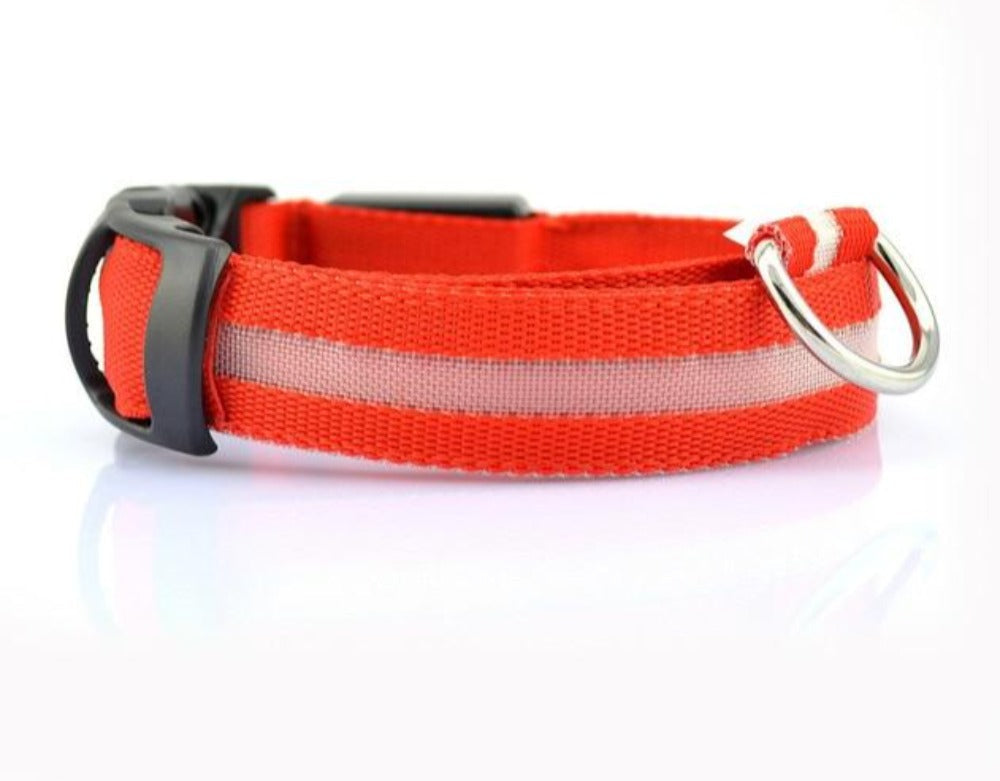 Nylon LED Dog Collar – Safety Night Walking Gear