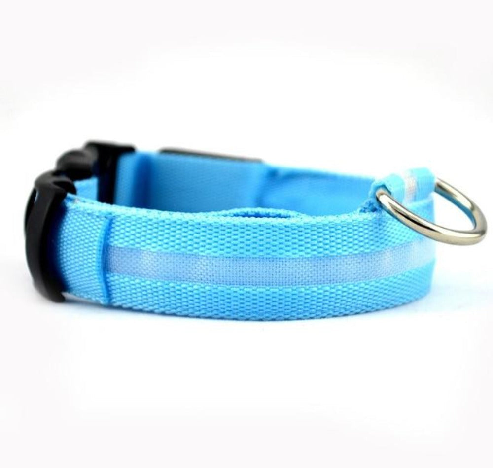 Nylon LED Dog Collar – Safety Night Walking Gear