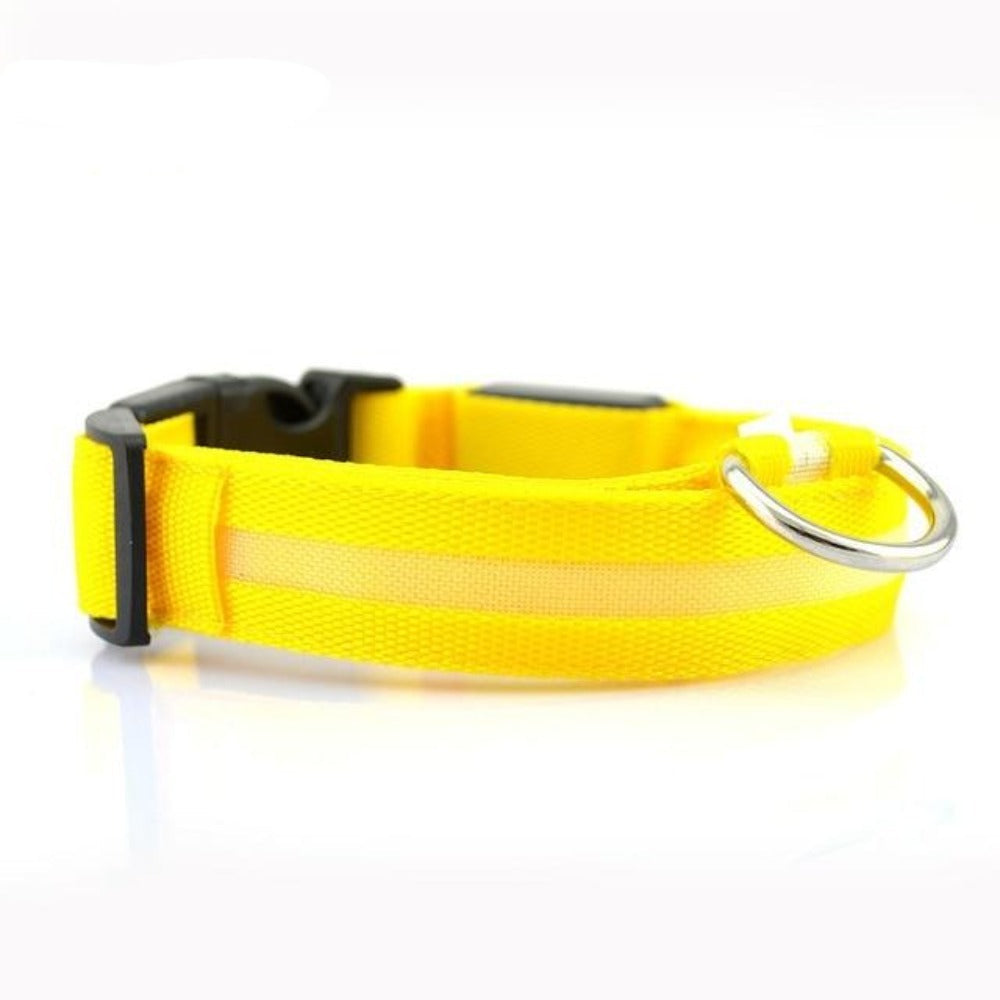 Nylon LED Dog Collar – Safety Night Walking Gear