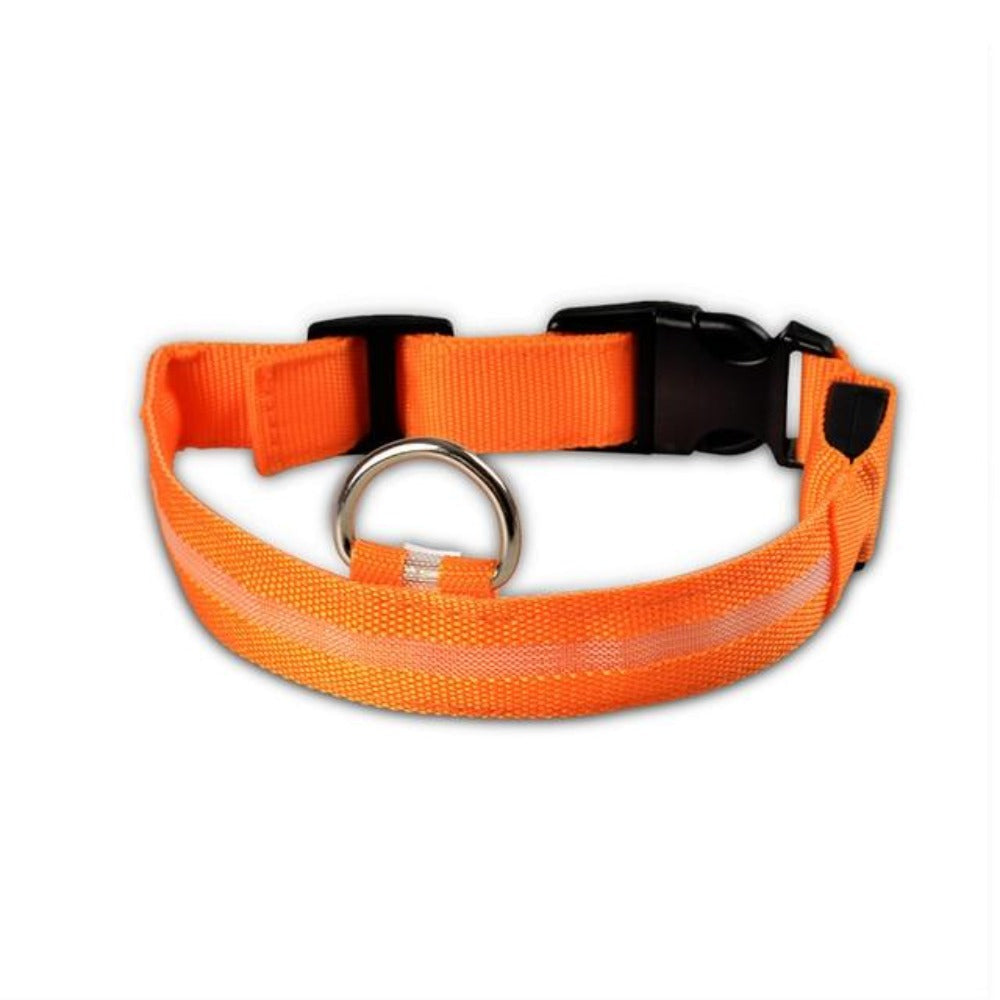 Nylon LED Dog Collar – Safety Night Walking Gear