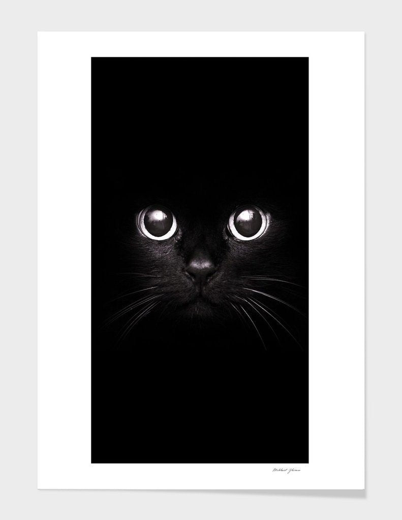 The Black Cat ā Solid Wood Vector Frame
