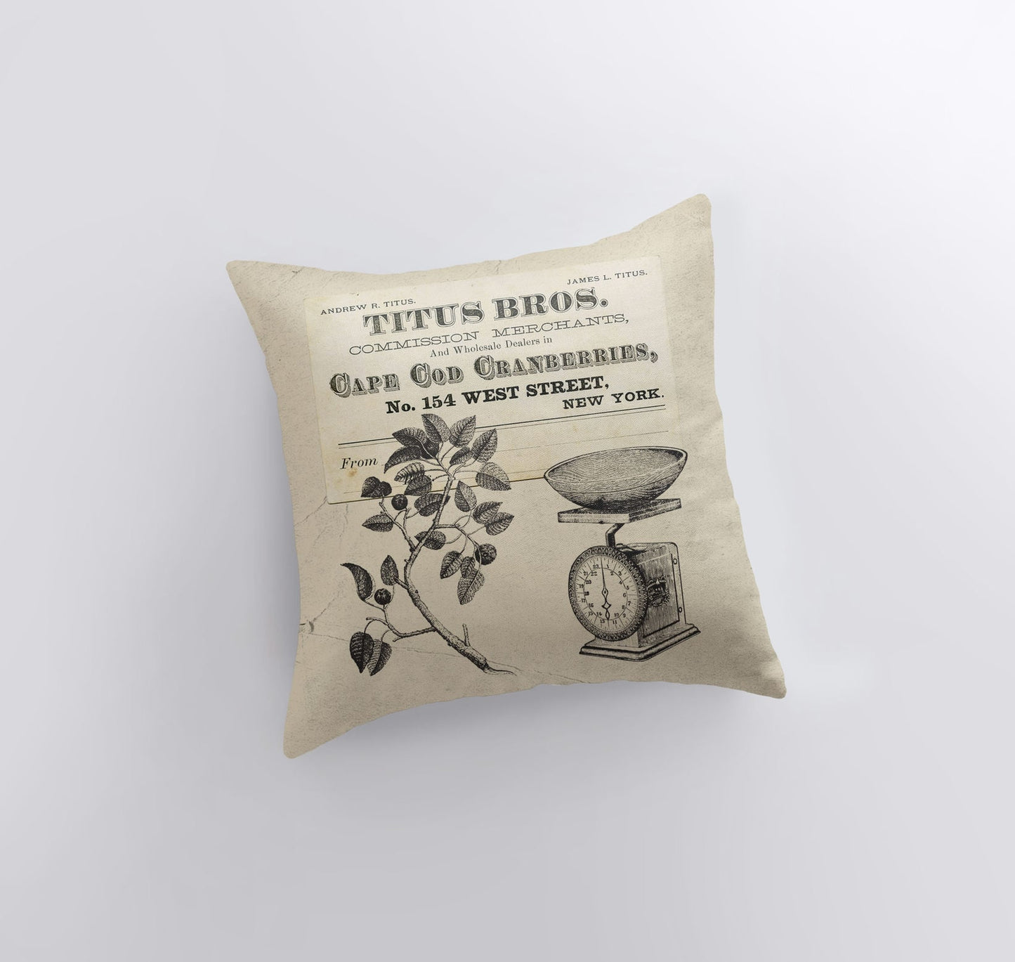 Cape Cod Cranberries Throw Pillow Cover – Vintage Farmhouse Accent