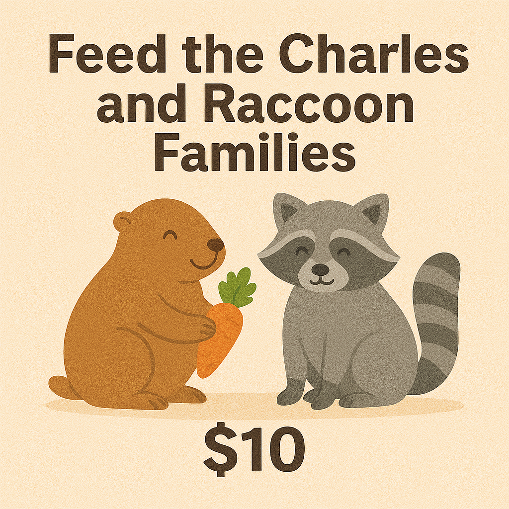 Support Backyard Wildlife & Stray Cats