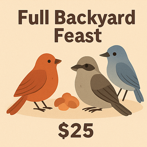 Support Backyard Wildlife & Stray Cats