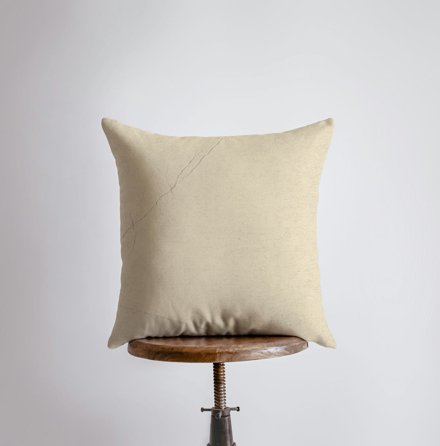 Cape Cod Cranberries Throw Pillow Cover – Vintage Farmhouse Accent