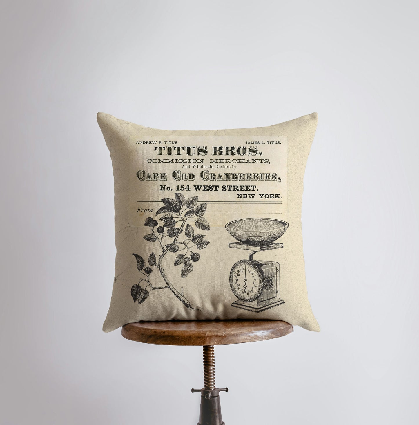 Cape Cod Cranberries Throw Pillow Cover – Vintage Farmhouse Accent