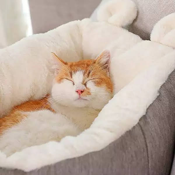 Pet Bed (Grey-Medium)