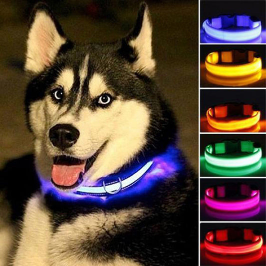 Nylon LED Dog Collar – Safety Night Walking Gear