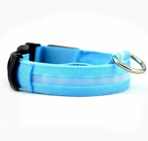 Nylon LED Dog Collar – Safety Night Walking Gear