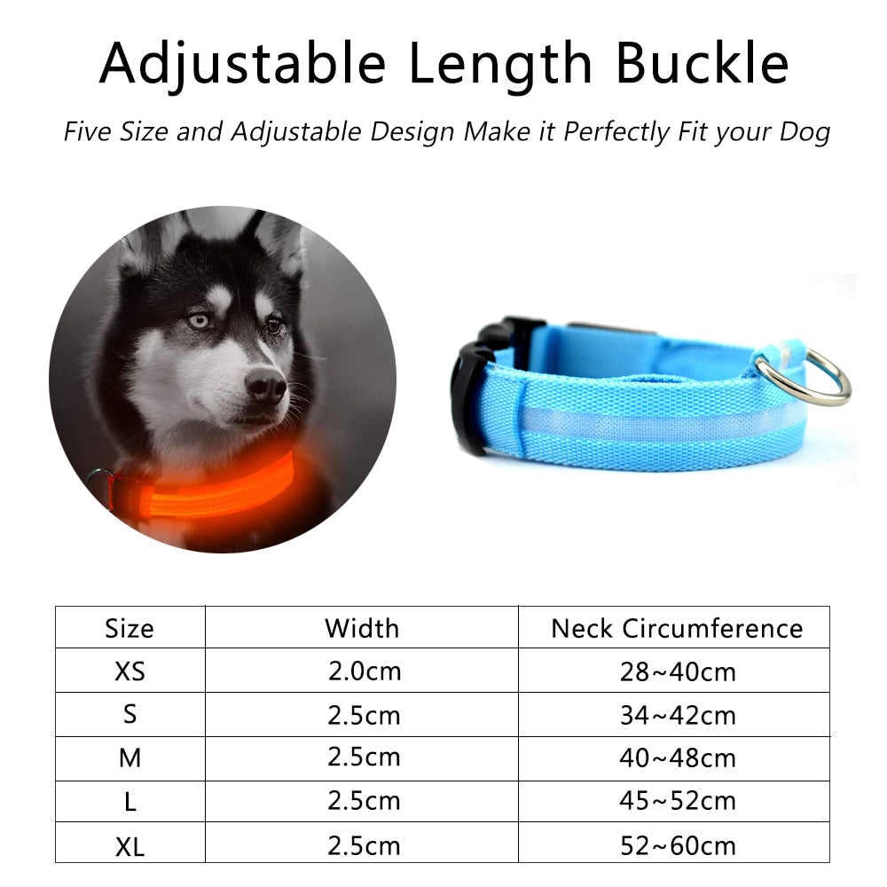 Nylon LED Dog Collar – Safety Night Walking Gear